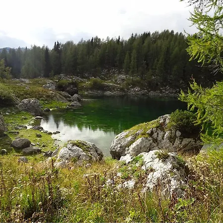 Desetka Bled